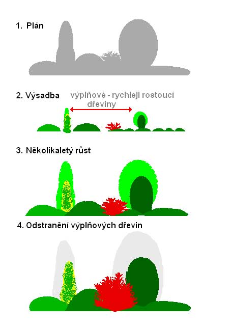 Výplňové dřeviny /K stránce Použití dřevin/